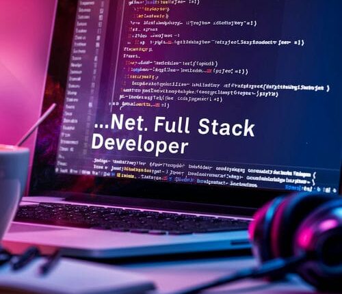 What is .NET Full Stack Developer